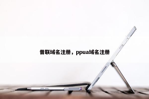 普联域名注册，ppua域名注册
