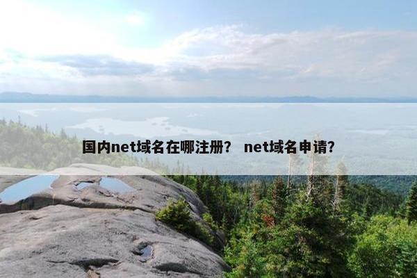 国内net域名在哪注册？ net域名申请？