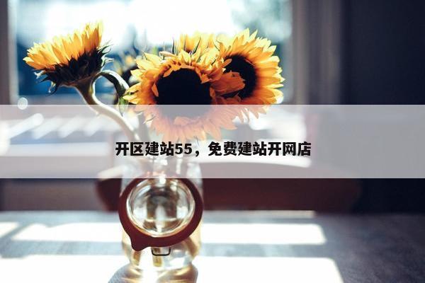 开区建站55，免费建站开网店