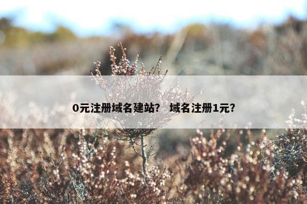 0元注册域名建站？ 域名注册1元？