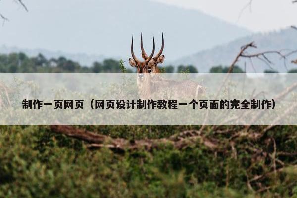 制作一页网页（网页设计制作教程一个页面的完全制作）