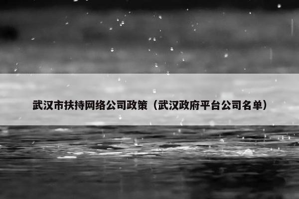 武汉市扶持网络公司政策（武汉政府平台公司名单）