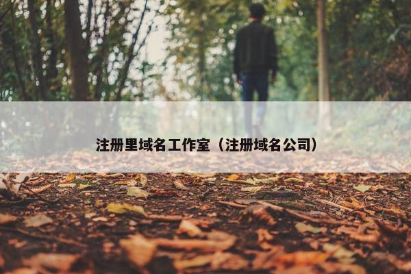 注册里域名工作室（注册域名公司）