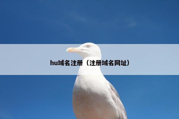 hu域名注册（注册域名网址）