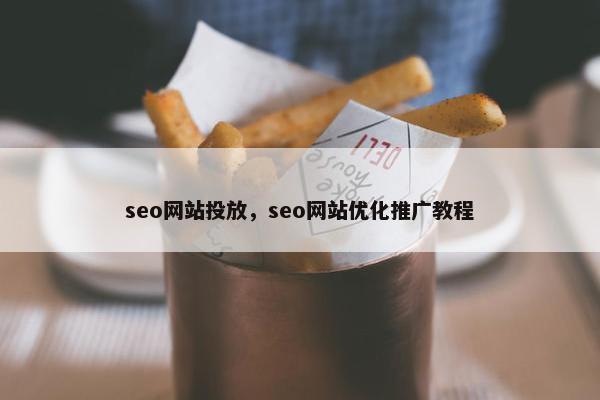 seo网站投放，seo网站优化推广教程
