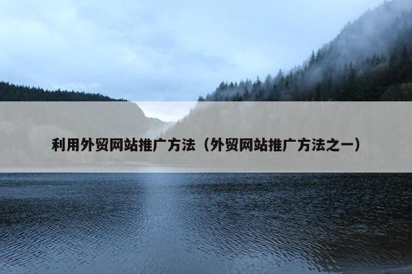 利用外贸网站推广方法（外贸网站推广方法之一）