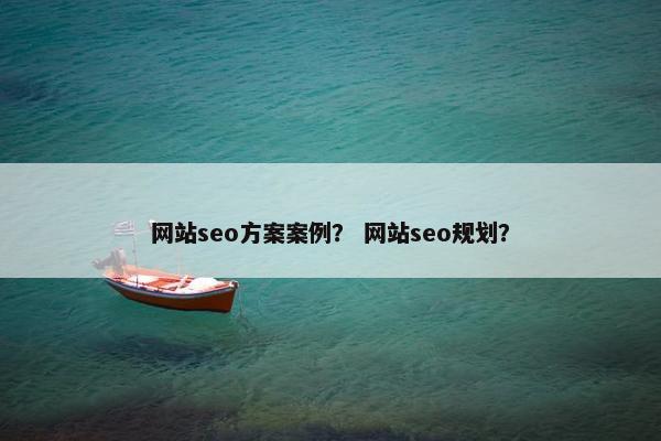 网站seo方案案例？ 网站seo规划？