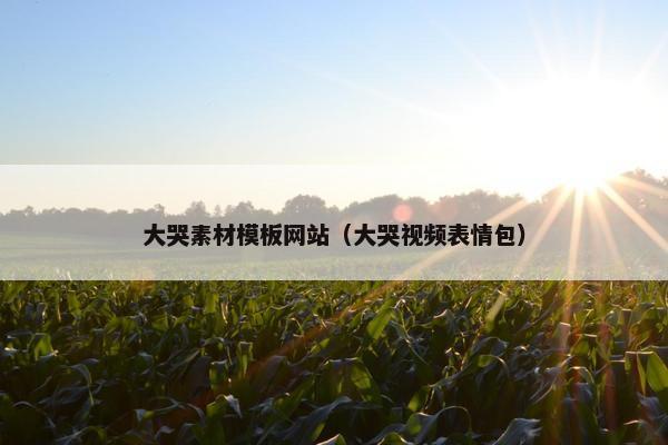 大哭素材模板网站（大哭视频表情包）