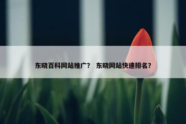东晓百科网站推广？ 东晓网站快速排名？
