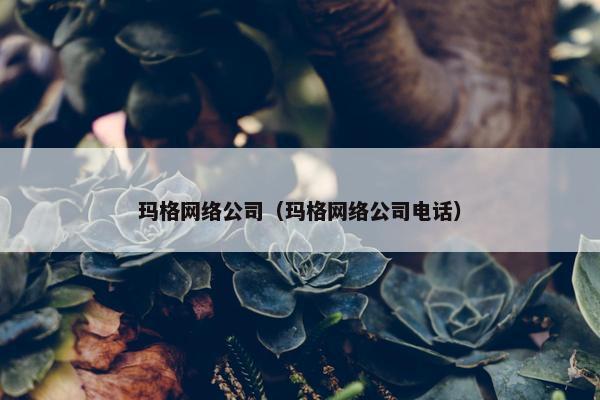 玛格网络公司（玛格网络公司电话）