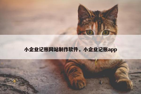 小企业记账网站制作软件，小企业记账app