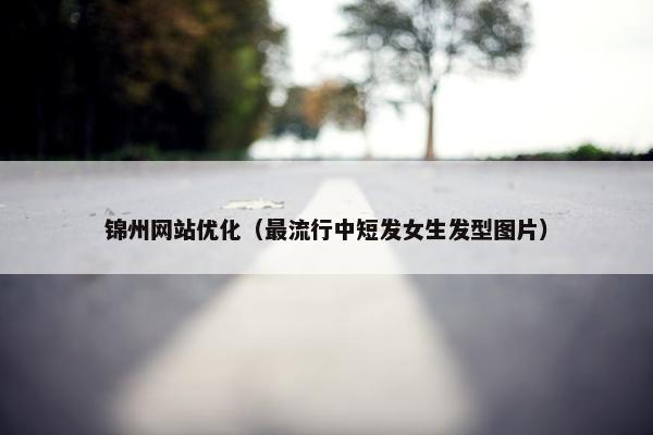锦州网站优化（最流行中短发女生发型图片）
