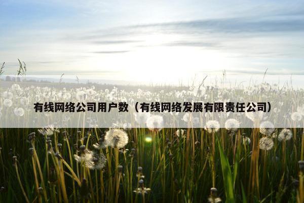 有线网络公司用户数（有线网络发展有限责任公司）