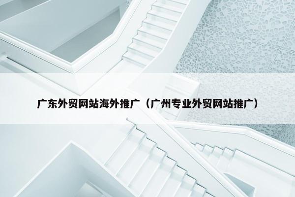 广东外贸网站海外推广（广州专业外贸网站推广）
