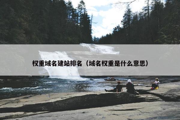 权重域名建站排名（域名权重是什么意思）
