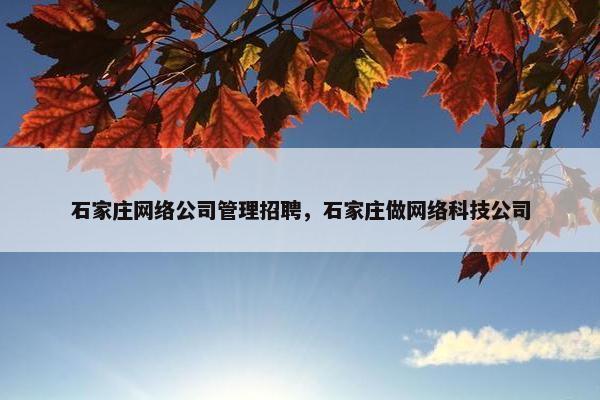 石家庄网络公司管理招聘，石家庄做网络科技公司