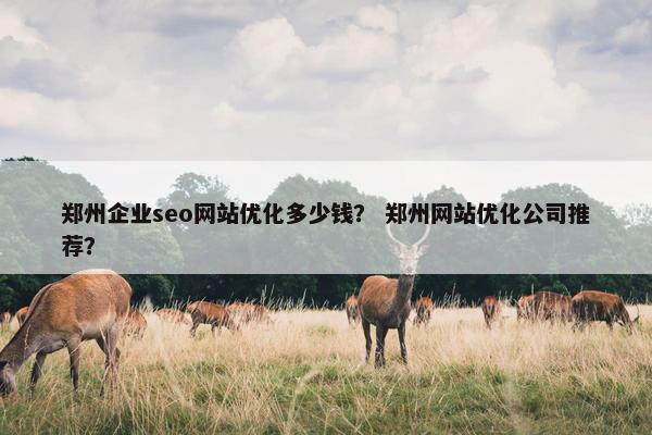 郑州企业seo网站优化多少钱？ 郑州网站优化公司推荐？
