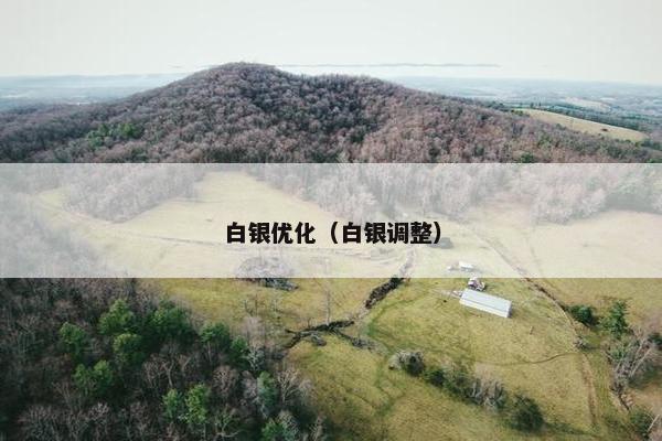 白银优化（白银调整）