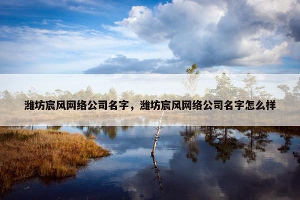 潍坊宸风网络公司名字，潍坊宸风网络公司名字怎么样