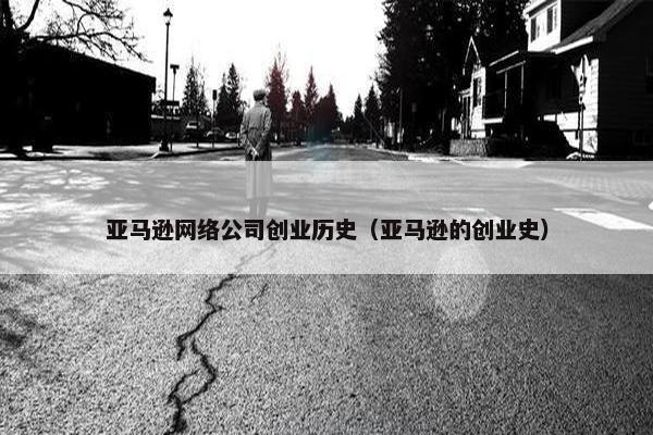 亚马逊网络公司创业历史（亚马逊的创业史）