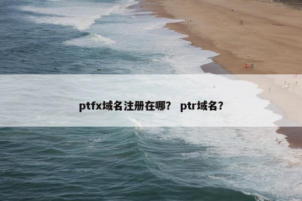 ptfx域名注册在哪？ ptr域名？