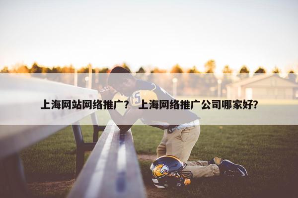 上海网站网络推广？ 上海网络推广公司哪家好？