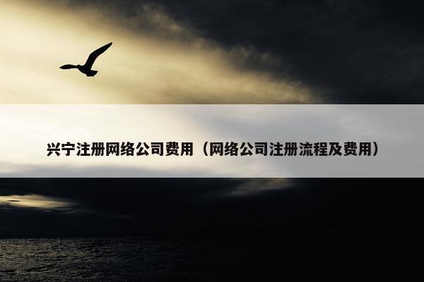 兴宁注册网络公司费用（网络公司注册流程及费用）