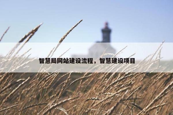 智慧局网站建设流程，智慧建设项目