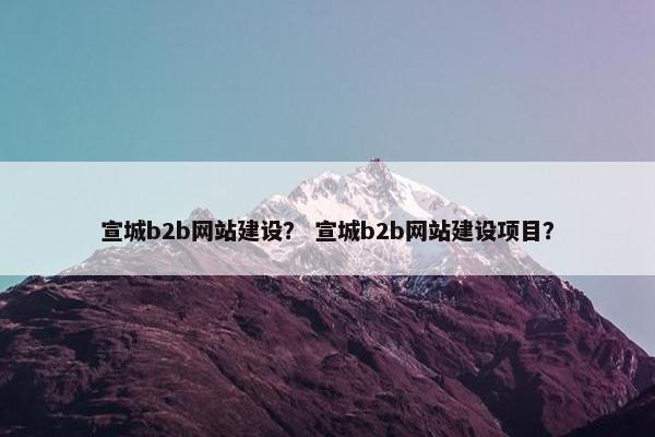 宣城b2b网站建设？ 宣城b2b网站建设项目？