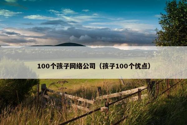 100个孩子网络公司（孩子100个优点）