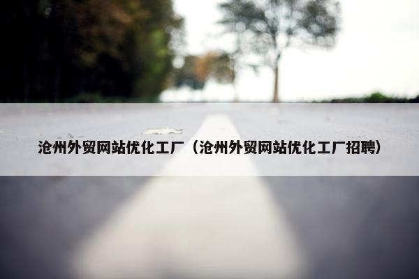 沧州外贸网站优化工厂（沧州外贸网站优化工厂招聘）