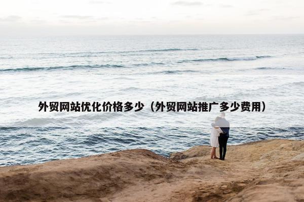 外贸网站优化价格多少（外贸网站推广多少费用）