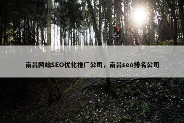 南昌网站SEO优化推广公司，南昌seo排名公司