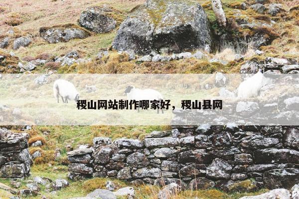 稷山网站制作哪家好，稷山县网