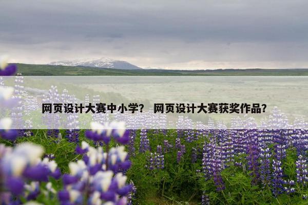 网页设计大赛中小学？ 网页设计大赛获奖作品？
