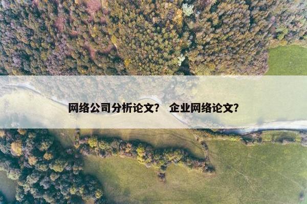 网络公司分析论文？ 企业网络论文？
