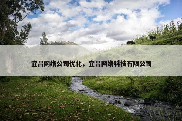 宜昌网络公司优化，宜昌网络科技有限公司