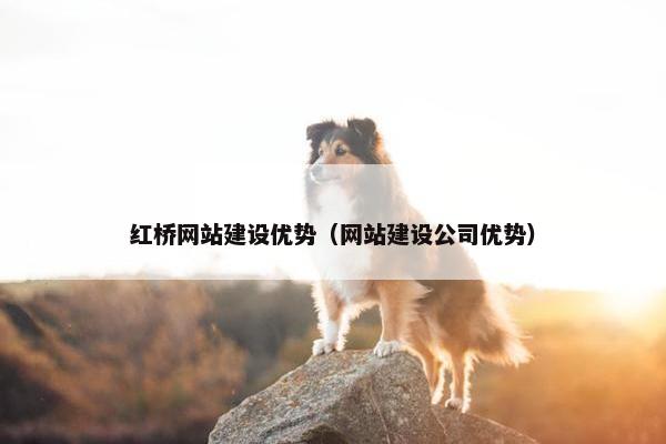 红桥网站建设优势（网站建设公司优势）