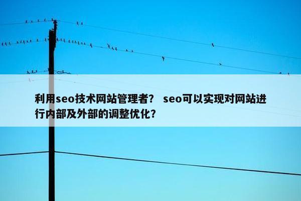 利用seo技术网站管理者？ seo可以实现对网站进行内部及外部的调整优化？