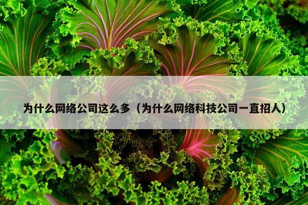 为什么网络公司这么多（为什么网络科技公司一直招人）