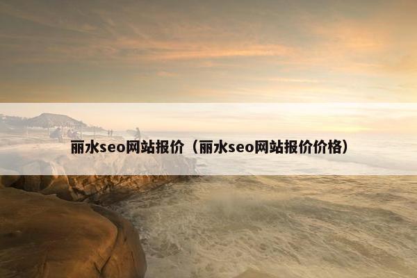 丽水seo网站报价（丽水seo网站报价价格）