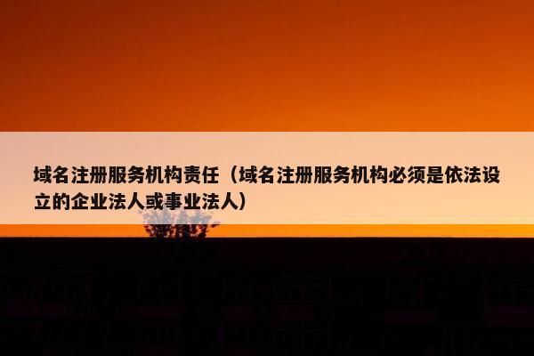 域名注册服务机构责任（域名注册服务机构必须是依法设立的企业法人或事业法人）