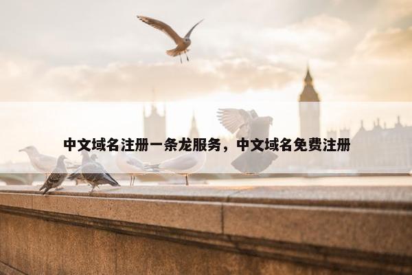 中文域名注册一条龙服务，中文域名免费注册