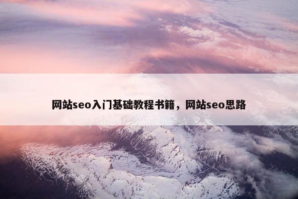 网站seo入门基础教程书籍，网站seo思路