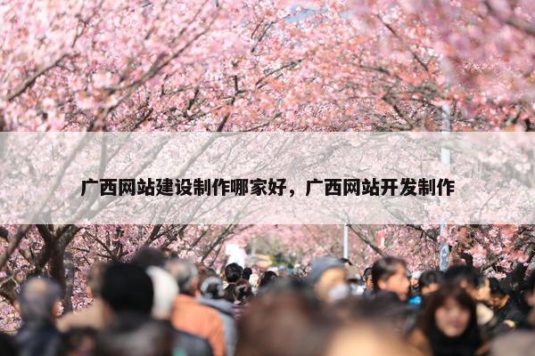 广西网站建设制作哪家好，广西网站开发制作