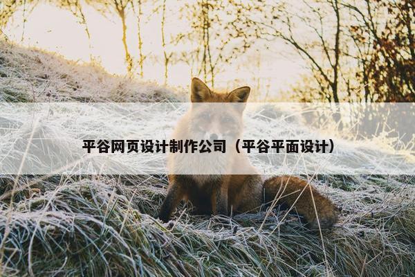 平谷网页设计制作公司（平谷平面设计）