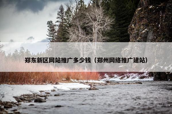 郑东新区网站推广多少钱（郑州网络推广建站）