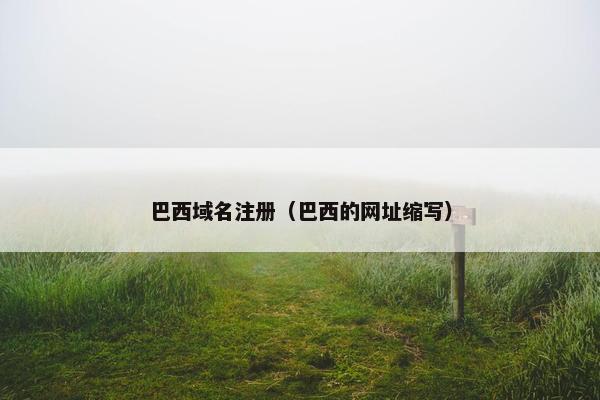 巴西域名注册（巴西的网址缩写）
