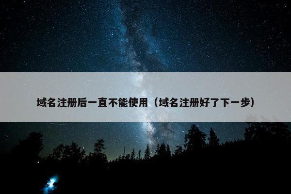域名注册后一直不能使用（域名注册好了下一步）