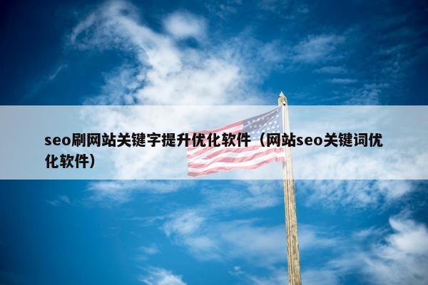 seo刷网站关键字提升优化软件（网站seo关键词优化软件）